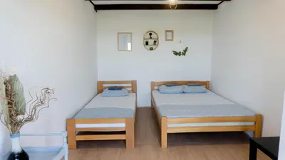 two twin beds in a room with a plant at Family House in Krčedin