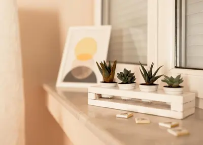 a shelf with plants on it next to a window at Diva apartman in Arandjelovac
