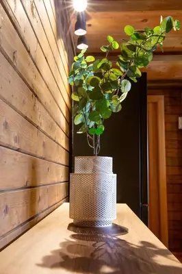 a plant in a white pot sitting on a table at River house Vasa in Belgrade
