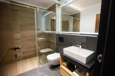 a bathroom with a toilet and a sink and a shower at Hotel Borneo in Pančevo