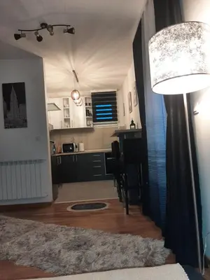 a living room with a floor lamp and a kitchen at Tanja 3 in Dušanovac (historical)