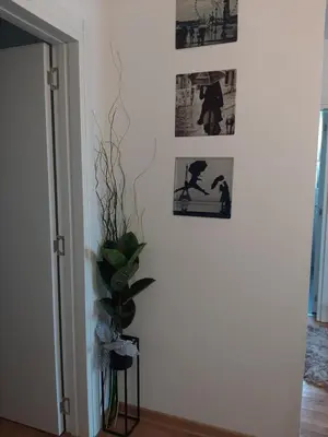 a hallway with pictures on the wall and a plant at Tanja 3 in Dušanovac (historical)