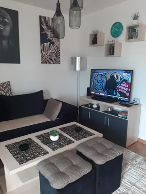 a living room with a couch and a coffee table at Tanja 3 in Dušanovac (historical)