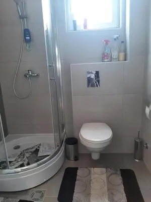 a bathroom with a shower and a toilet and a sink at Tanja 3 in Dušanovac (historical)