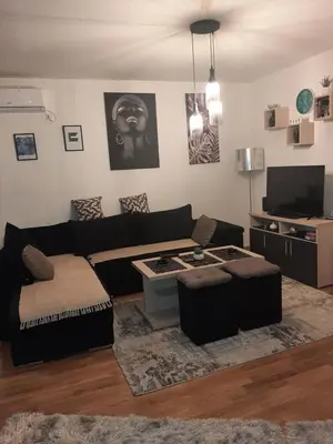 a living room with a couch and a coffee table at Tanja 3 in Dušanovac (historical)