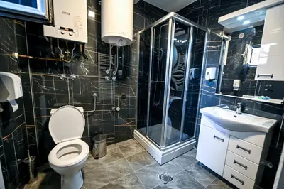 a bathroom with a toilet and a shower and a sink at Respect034 in Arandjelovac
