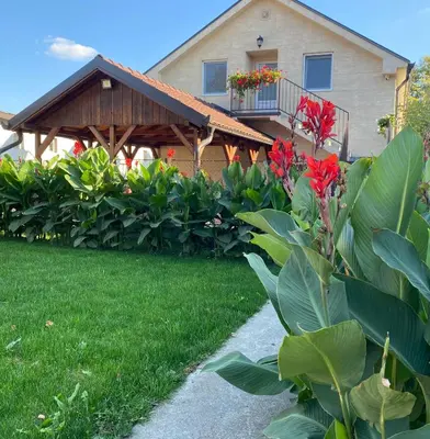 a house with a balcony with red flowers at OMIS Rooms in Pančevo
