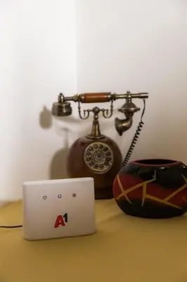 a phone and a laptop sitting on a table with a telephone at Vila Lio & Restaurant Devojacki Bunar in Novi Vladimirovac
