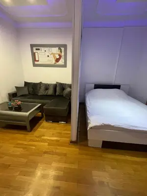 a living room with a bed and a couch at Apartman Obilic in Belgrade