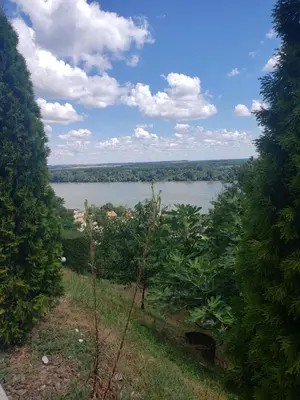 a view of a river from a hill with trees at Vila Slankamenka in Stari Slankamen