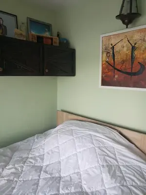 a bedroom with a bed and a painting on the wall at Vila Slankamenka in Stari Slankamen