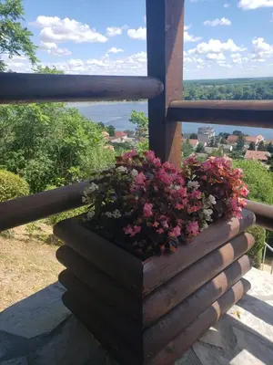 a pot of flowers on a balcony with a view at Vila Slankamenka in Stari Slankamen