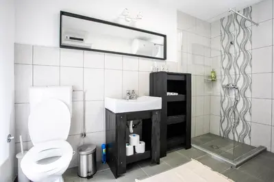 a bathroom with a toilet and a sink and a mirror at Seosko Domaćinstvo Pustolov in Stari Banovci