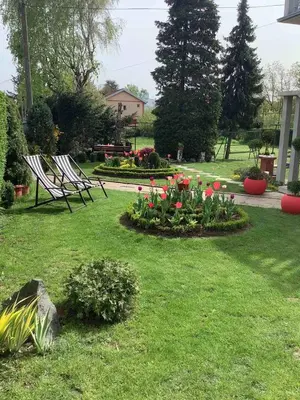 two chairs in a garden with flowers in the grass at Andrea Airport Apartments in Belgrade