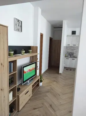 a living room with a television on a wooden entertainment center at Andrea Airport Apartments in Belgrade