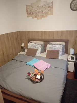 a bed with towels and a basket on it at Apartman EN in Dušanovac (historical)