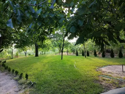 a park with trees and a green field at VisitorsCenter Ivanovo in Ivanovo