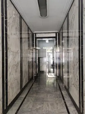 an elevator corridor in a building with marble walls at Obilic 22 Apartment in Belgrade
