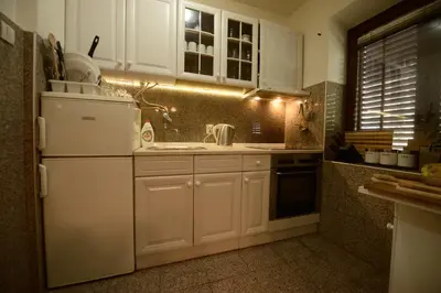 a kitchen with a white refrigerator and a sink at Villa Dijana - Pool, Spa, Outdoor Kitchen in Belgrade