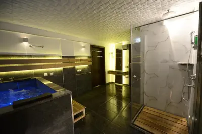 a bathroom with a shower and a glass shower stall at Villa Dijana - Pool, Spa, Outdoor Kitchen in Belgrade