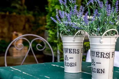 two buckets filled with purple flowers on a table at Wine house apartment in Karaburma