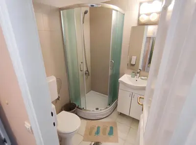 a bathroom with a shower and a toilet and a sink at Hotel Marina Agreena in Grocka