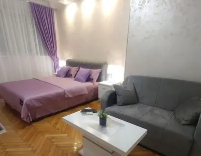 a living room with a bed and a couch at Elena Lux in Belgrade