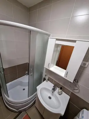 a bathroom with a sink and a shower and a mirror at Raven2 in Železnik