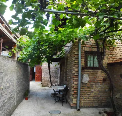 Gallery image of Wood House in Ruma