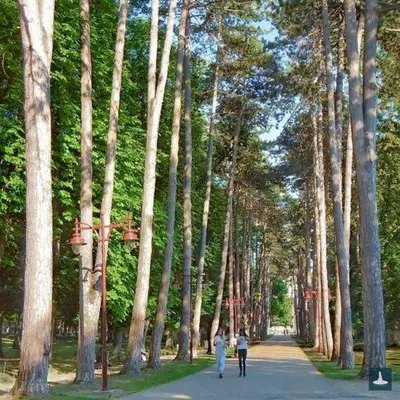 two people walking down a path through a forest of trees at Apartman Panorama Arandjelovac in Arandjelovac