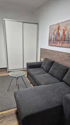 a living room with a couch and a table at Cozy apartment in the center of Belgrade - living room, bedroom and bathroom in Belgrade