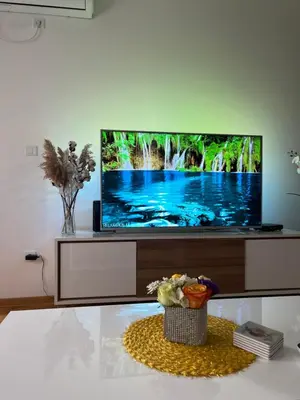 a living room with a flat screen tv on a table at Paunov Breg in Jajinci