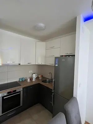 a kitchen with white cabinets and a stainless steel refrigerator at Paunov Breg in Jajinci
