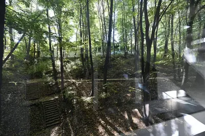 a window view of a park with trees and benches at Hotel Ub Aqua Park in Ub