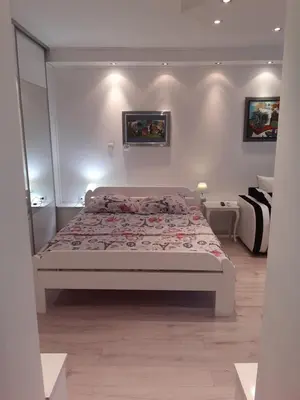 a bedroom with a large bed in a room at Djakuzi Viktorija in Belgrade