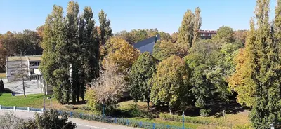 a group of trees on the side of a road at Apartment Student city, Wifi 300MBs in Belgrade