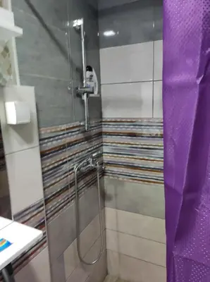 a shower in a bathroom with a purple curtain at Prenoćište Inđija Hrvić in Inđija