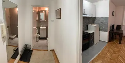 a bathroom with a sink and a toilet in a room at Apartman Pionir in Belgrade