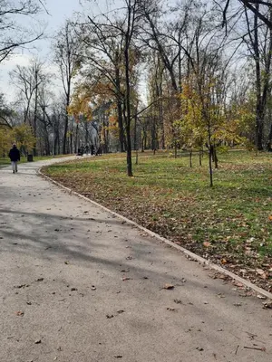 a person walking down a path in a park at Apartman 57 in Vračar (historical)