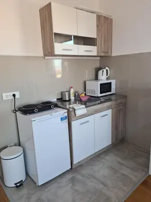 a small kitchen with a refrigerator and a microwave at Jordan Apartment - City Center in Belgrade