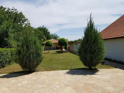 two bushes in a yard next to a house at Vikendica Lešić in Čortanovci