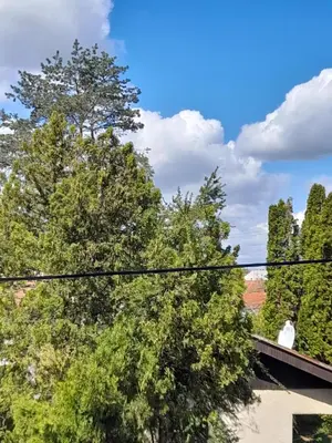 a view from the roof of a house with trees at Apartman Green wood in Arandjelovac