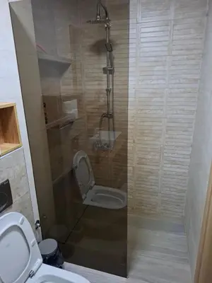 a bathroom with a toilet and a shower at Serbian home - 44, Gandijeva 184, free parking in Bežanija