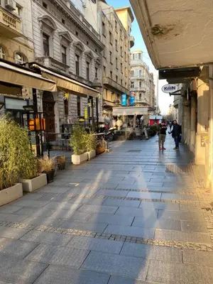 a city street with people walking down the street at Dragon in Belgrade