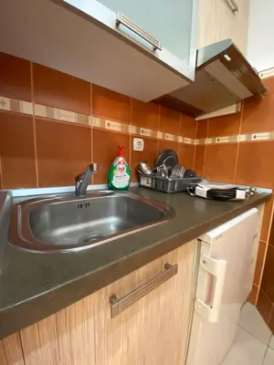 a kitchen with a sink and a counter top at Dragon in Belgrade
