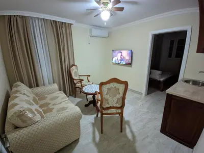 a living room with a couch and chairs and a sink at Apartmani Danube LUX Smederevo in Smederevo