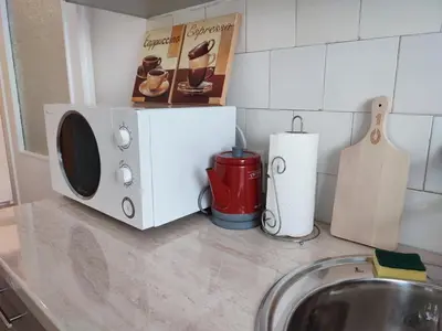 a microwave sitting on a counter next to a sink at Apartment Kaja in Belgrade