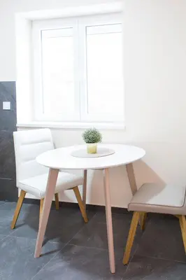 a table with a potted plant on top of it next to two chairs at Galaxy Apartments in Belgrade