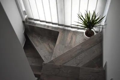 a stairway with a potted plant and a window at Damun in Belgrade