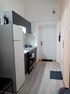 a kitchen with a white refrigerator and a wooden floor at Apartment Anna in Belgrade